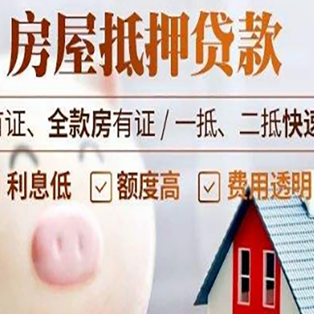 芷江贷款助贷公司新渝启服成立时间久